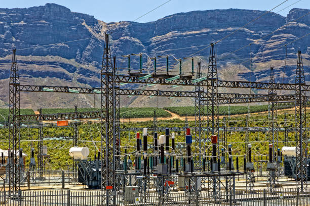 istockphoto 1337521244 612x612